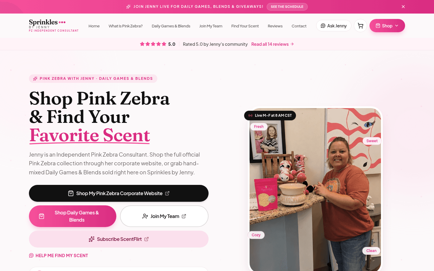 Sprinkles by Jenny website after the Tech Turtle rebuild